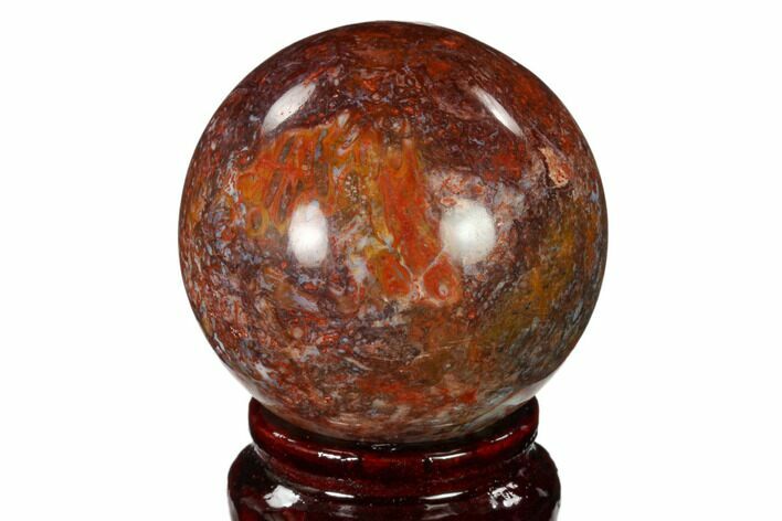 Colorful, Polished Petrified Palm Root Sphere - Indonesia #150129